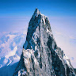 Meet your Posher, Ronan